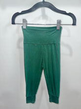 Load image into Gallery viewer, Lou Lou &amp; Co Green Pants Size 12-24m
