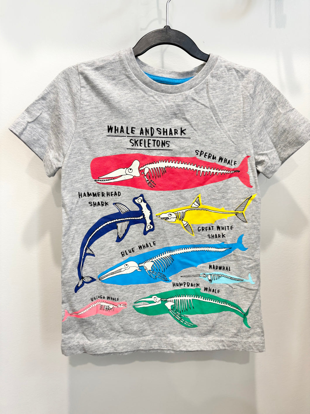 Mini Boden Whale & Shark Skeleton Shirt Size 6-7Y