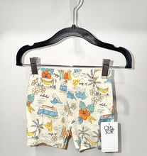 Load image into Gallery viewer, Chaser Milk Surfs Shorts Size 3
